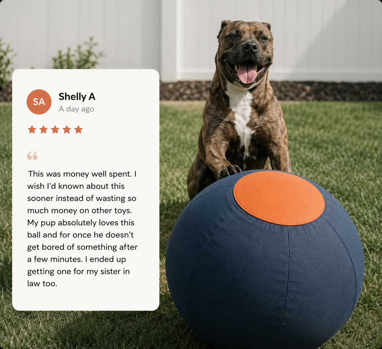 Herding Ball