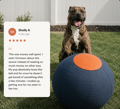 Herding Ball